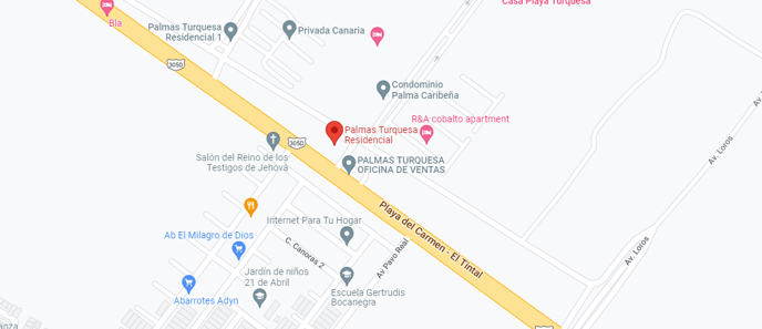 palmas turquesa